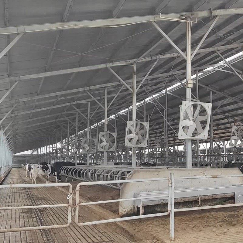 860w Usage Dairy Farm Ventilation Machine